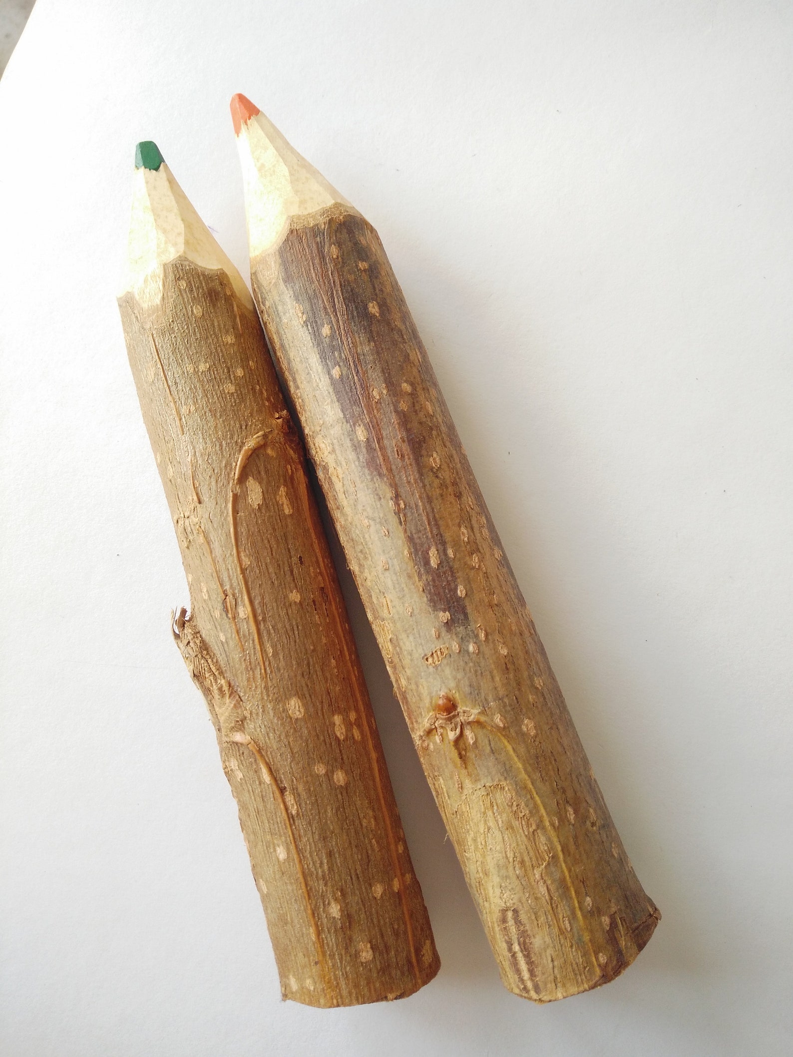 Tree bark color pencils vintage collectible green and orange. Etsy