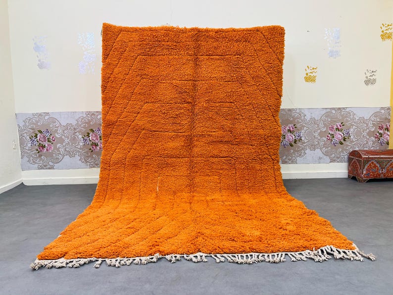 May include: A large, orange shag rug with a geometric design. The rug has a thick, textured pile and a fringe along the bottom edge. The rug is displayed against a neutral wall.