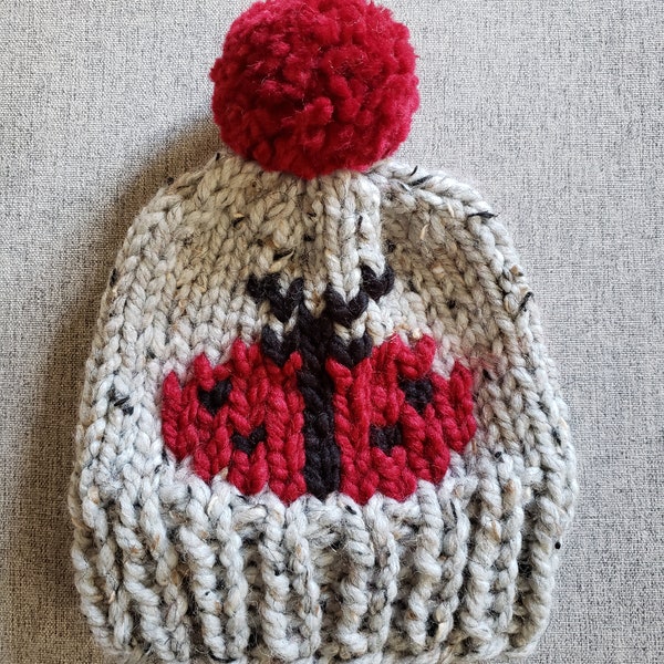 Lady Bug Knit Hat, Hand Made, Beanie Hat, Pom Pom Attached, Warm Hat, Great Gift, Available In 6-12 Months, 1-3 Years, 4-12 Years,Teen/Adult