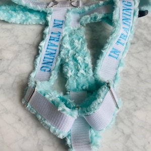 May include: A light blue dog harness with the words "IN TRAINING" embroidered in blue on white straps. The harness is made of a soft, fluffy material and features silver metal hardware. The harness is designed for a small dog.