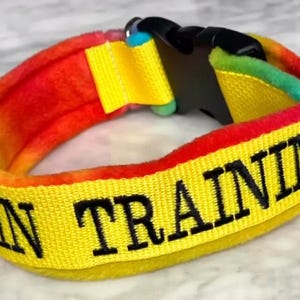 Custom fleece collar