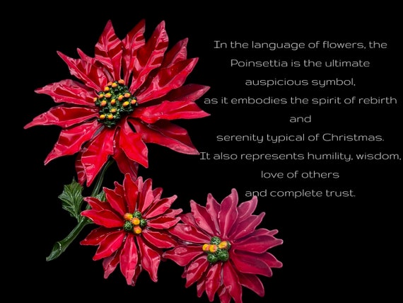 Stunning Vivid enamel red Poinsettia Christmas Fl… - image 1