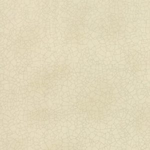 Kathy Schmitz Crackle Quilt Fabric, Low Volume Cotton, Moda -Half Yard