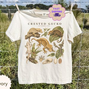 Puede incluir: Una camiseta de manga corta color marfil con un estampado gráfico de geckos crestados, hojas y un cráneo. El texto dice CRESTED GECKO y Correlophus ciliatus. El diseño incluye varias ilustraciones de geckos en tonos marrones y verdes.
