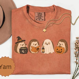 May include: A rust-colored t-shirt featuring a graphic of four hedgehogs in Halloween costumes: one with a witch hat and cauldron, one reading a book, one dressed as a ghost holding a lantern, and one holding a jack-o'-lantern pumpkin.