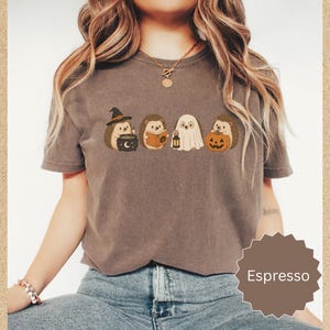 May include: An espresso-colored short-sleeve t-shirt featuring a graphic print of four hedgehogs in Halloween costumes. One hedgehog wears a witch hat with a cauldron, one reads a book, one is dressed as a ghost with a lantern, and one holds a pumpkin.