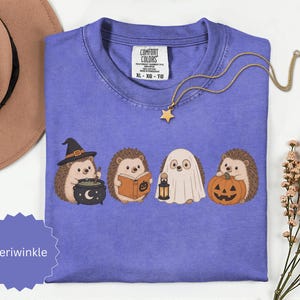 May include: A periwinkle t-shirt featuring a graphic of four hedgehogs dressed for Halloween: one with a witch hat and cauldron, one reading a book, one wearing a ghost sheet with a lantern, and one holding a jack-o'-lantern pumpkin.