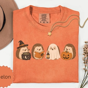 May include: A melon-colored t-shirt with a graphic print of four hedgehogs in Halloween costumes. One wears a witch hat with a cauldron, one reads a book, one is a ghost holding a lantern, and one holds a jack-o'-lantern. The shirt has a Comfort Colors label.