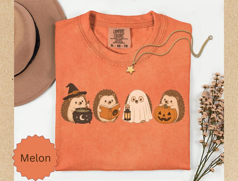 May include: A melon-colored t-shirt with a graphic print of four hedgehogs in Halloween costumes. One wears a witch hat with a cauldron, one reads a book, one is a ghost holding a lantern, and one holds a jack-o'-lantern. The shirt has a Comfort Colors label.