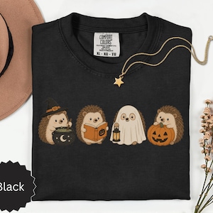 May include: A black t-shirt featuring a graphic of four hedgehogs in Halloween costumes. One wears a witch hat with a cauldron, one reads a book, one is dressed as a ghost holding a lantern, and one holds a jack-o'-lantern. The shirt has a Comfort Colors label.