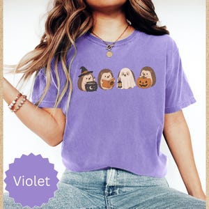 May include: A violet short-sleeve t-shirt featuring a graphic print of four hedgehogs in Halloween costumes. One hedgehog wears a witch hat with a cauldron, one reads a book, one is dressed as a ghost with a lantern, and one holds a pumpkin.