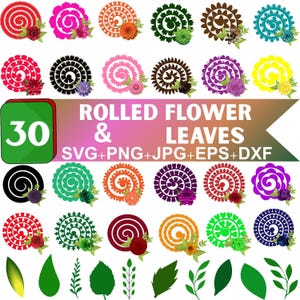 Gerollte Blume, Papierblume, Hochzeitsblume, 3D Blume, Gerollte Blume Cricut-Datei, Geschenke Dekoration, Papierblatt svg, Layered Designs svg