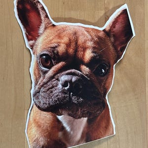 ¡Pegatina personalizada de tu amigo peludo! Cualquier foto que elijas. Una vez que realices el pedido, envíame un mensaje con una foto de tu amigo especial.