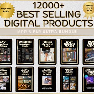 PLR Digitale producten verkopen op Etsy 12000 DFY Digital Products MRR en plr Faceless Reels Excel-sjablonen