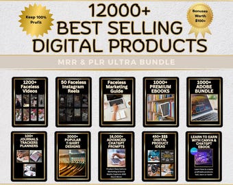PLR Digital Products Sell on Etsy 12000 DFY Digital Products MRR & plr Faceless Reels Excel Templates