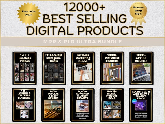 PLR Digital Products Sell on Etsy 12000 DFY Digital Products MRR & plr Faceless Reels Excel Templates