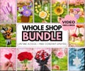 1500+ Flower Crochet PATTERN WHOLE SHOP Bundle Bouquet Amigurumi Christmas Halloween Wedding Bridal Graduation Sympathy Teacher Easter Mom
