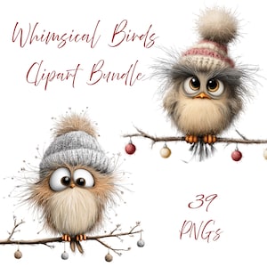 K&ouml;nnte beinhalten: Ein digitales Clipart-Paket mit zwei skurrilen V&ouml;geln auf &Auml;sten. Die V&ouml;gel tragen Strickm&uuml;tzen und haben gro&szlig;e Augen. Der Text "Whimsical Birds Clipart Bundle" und "39 PNGs" ist ebenfalls enthalten.