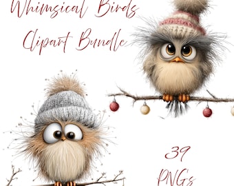 39 wunderliche Vögel Clipart, schrullig süßer Vogel PNG, digitaler Download