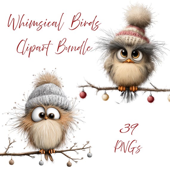 39 Whimsical Birds Clipart, Quirky Cute Bird PNG, Digital Download