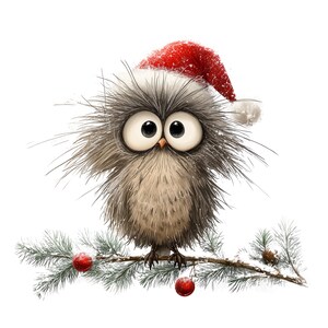 K&ouml;nnte beinhalten: Eine skurrile Illustration einer Eule mit rotem Weihnachtsmannhut, die auf einem schneebedeckten Kiefernzweig sitzt. Die Eule hat gro&szlig;e, ausdrucksstarke Augen und flauschige graue und braune Federn. Rote Ornamente und ein Tannenzapfen erg&auml;nzen das festliche Thema.