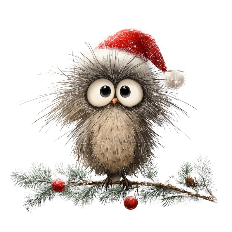 K&ouml;nnte beinhalten: Eine skurrile Illustration einer Eule mit rotem Weihnachtsmannhut, die auf einem schneebedeckten Kiefernzweig sitzt. Die Eule hat gro&szlig;e, ausdrucksstarke Augen und flauschige graue und braune Federn. Rote Ornamente und ein Tannenzapfen erg&auml;nzen das festliche Thema.