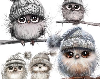 45 wunderliche Vögel Clipart, schrullig süßer Vogel PNG, digitaler Download