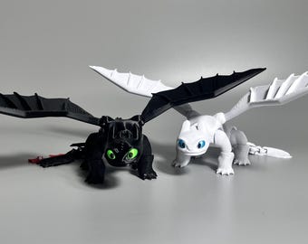 Toothless & Light Fury