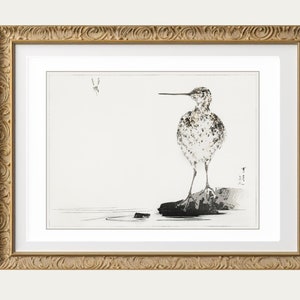 May include: A black and white ink drawing of a bird standing on a rock in a body of water. The bird has a long beak and is facing to the right. There is a small insect flying above the bird.