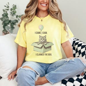Funny Cat Shirt, Cat in a Box Tee, Quirky Cat Lover Gift, Cat Mom Humor Shirt, Gildan 5000 Unisex, Cute Feline Quote Tee