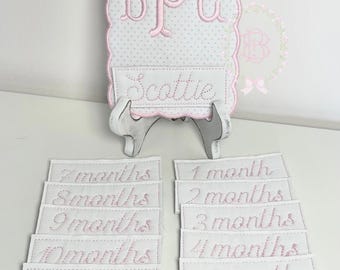 Embroidered Monthly Milestone Cards