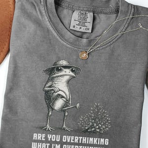 May include: A charcoal gray crew neck t-shirt featuring a graphic of a frog wearing a hat and holding a watering can next to a small plant. The text reads, "ARE YOU OVERTHINKING WHAT I'M OVERTHINKING". A thin silver chain necklace with a small round pendant rests on the shirt.