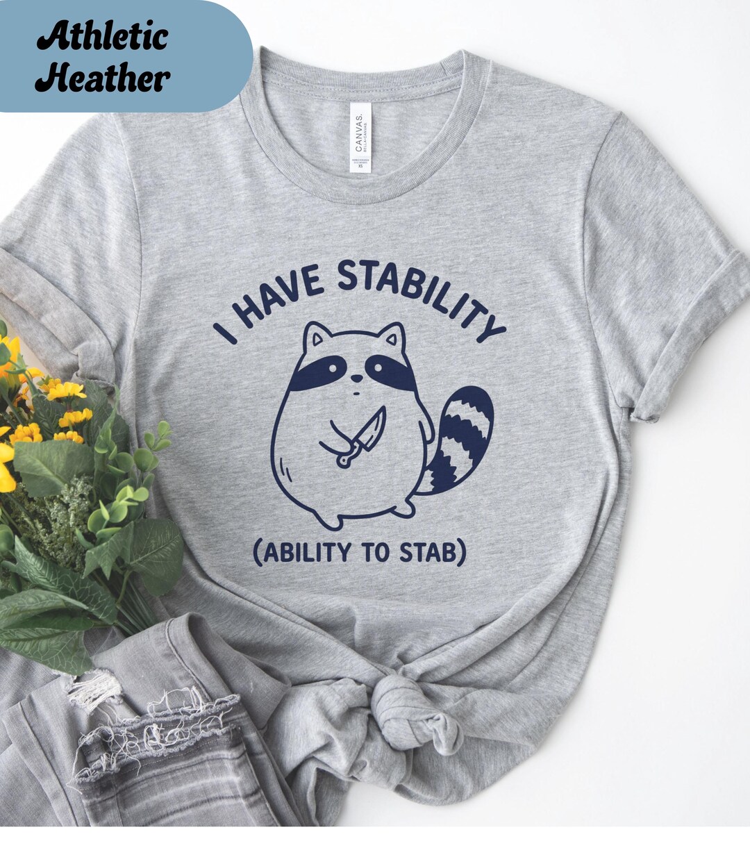 I Have Stability Funny Racoon Shirt; Sarcasm Shirt, Racoon Humor Shirt ...