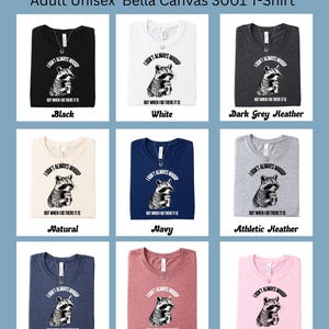 May include: A collection of Bella Canvas 3001 t-shirts in various colors, including black, white, and heather gray. Each shirt features a raccoon graphic with the text "I don't always whoop but when I do there it is."