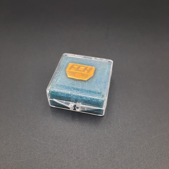 Fairmont Community Hospital Foundation 10yr Employee Lapel Pin View 2