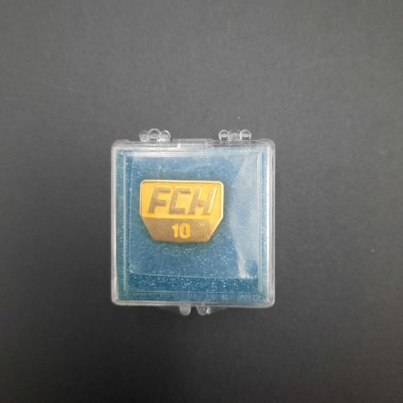 Fairmont Community Hospital Foundation 10yr Employee Lapel Pin
