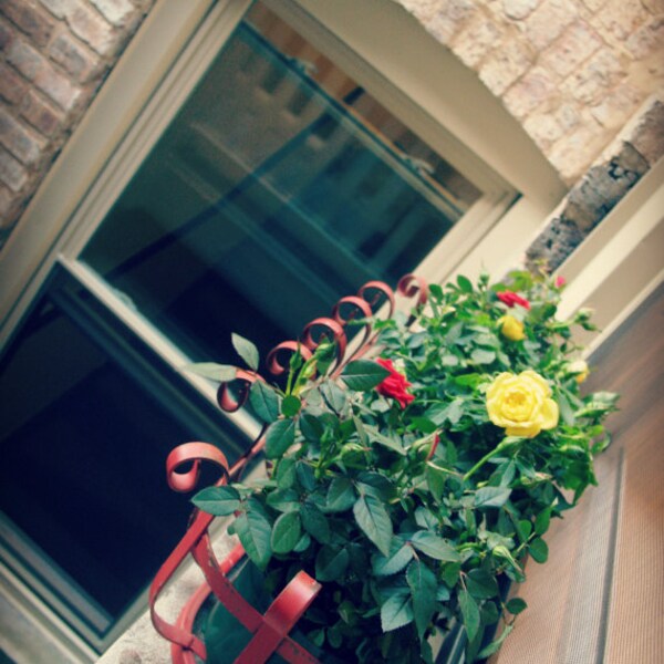 Mini Window Box Etsy