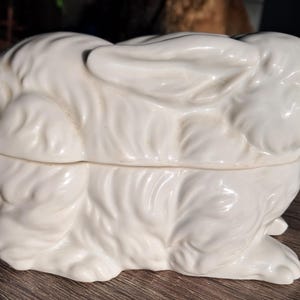 Puede incluir: Un recipiente blanco de cerámica con forma de conejo y tapa. El conejo está en posición de descanso, con las orejas levantadas. El recipiente tiene un aspecto texturizado, similar a la piel, y probablemente se utiliza para guardar cosas o decorar.