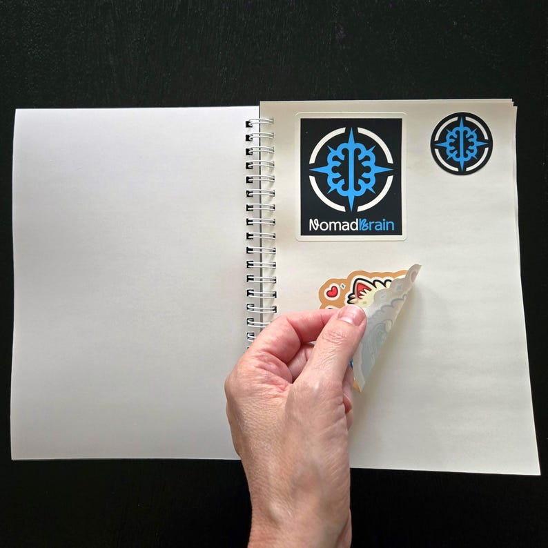 Notebook R Cartoon Reusable A5 Sticker Book, Antique Celtic Knot Grimoire Album, 100 Pages ...