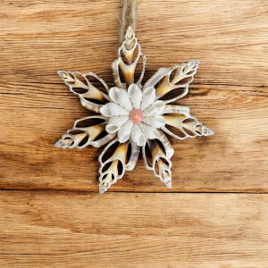 May include: A star-shaped ornament made from seashells, with a central flower design and a pink centre. The star's points are formed from various shells in white, beige, and brown hues, suspended by a natural twine cord. The background is a wooden surface.