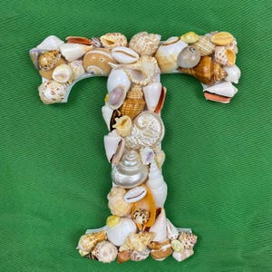 Arte de parede com conchas, decoração de casamento na praia, decoração de letras com conchas para casa de praia, presente para inauguração de casa, decoração de conchas para casa de praia
