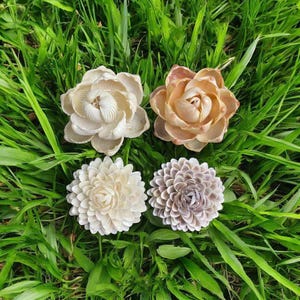 Peut inclure: Quatre ornements décoratifs en forme de fleurs faits à partir de coquillages. Deux sont beige clair, un est pêche et un est de couleur violet clair. Les fleurs sont disposées sur un lit d'herbe verte.