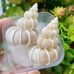 2 Precious Wentletrap Seashells wedding decor(1 3/4&#39;&#39; - 2&#39;&#39;), Natural Shell Coastal Home Decor, Seashell Artists, Collectible shell