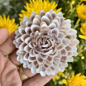 Handmade Seashell Flower: Coastal Beach Wedding Decor