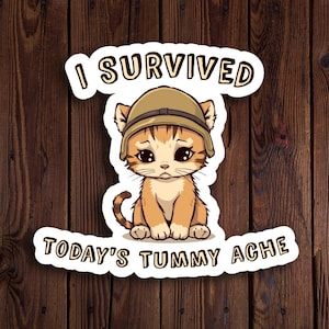Adesivo "Sono sopravvissuto al mal di pancia di oggi", Adesivo "Meme sui gattini", Adesivo divertente, Adesivo "Soldato gatto", Adesivo "Stanso", Regali carini per gatti, Adesivo "Meme"