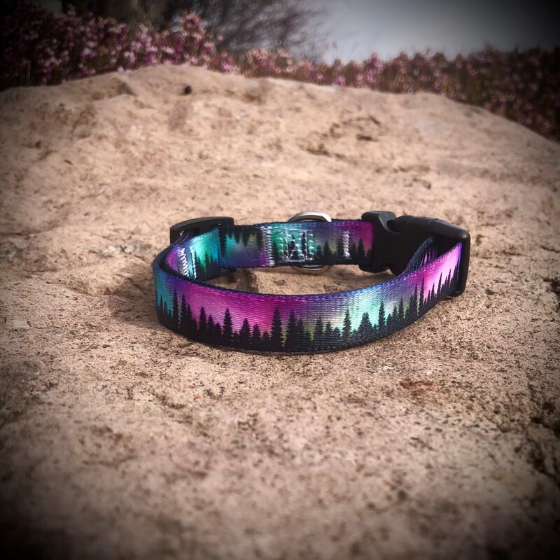 Blinking christmas lights dog collar