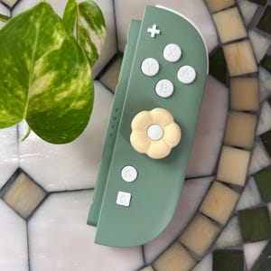 Switch 2 Custom Joy Cons
