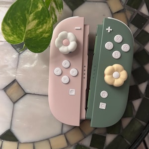 Switch 2 Custom Joy Cons