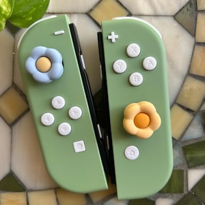 Cozy Colors Custom Joy Cons