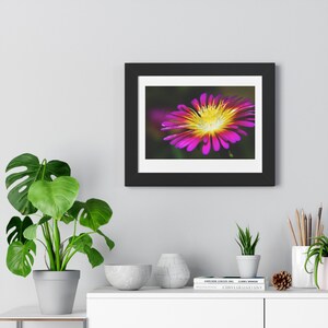 Flower Photography Print | Nature Photo | Wall Art | Gift Ideas | Home Decor